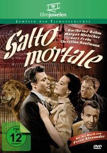 Vorderes Coverbild Salto Mortale