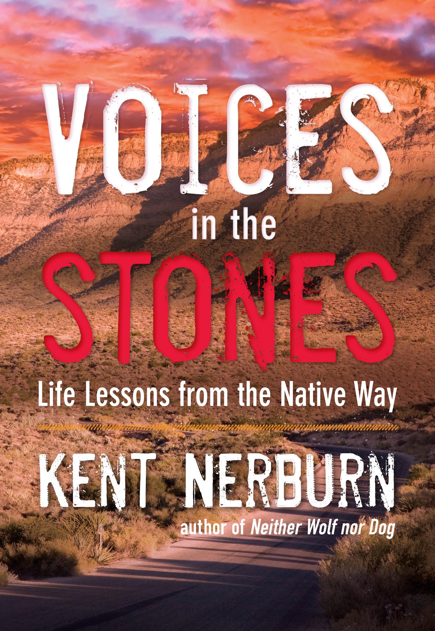 Vorderes Coverbild Voices in the Stones