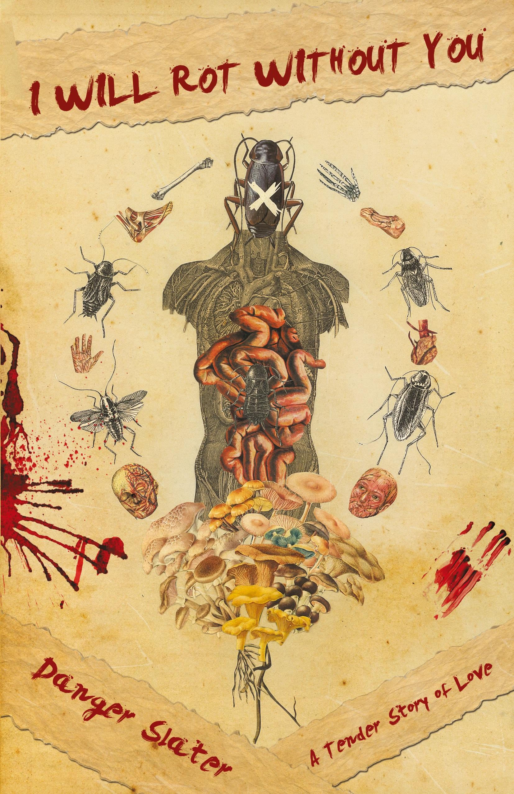 Vorderes Coverbild I Will Rot Without You