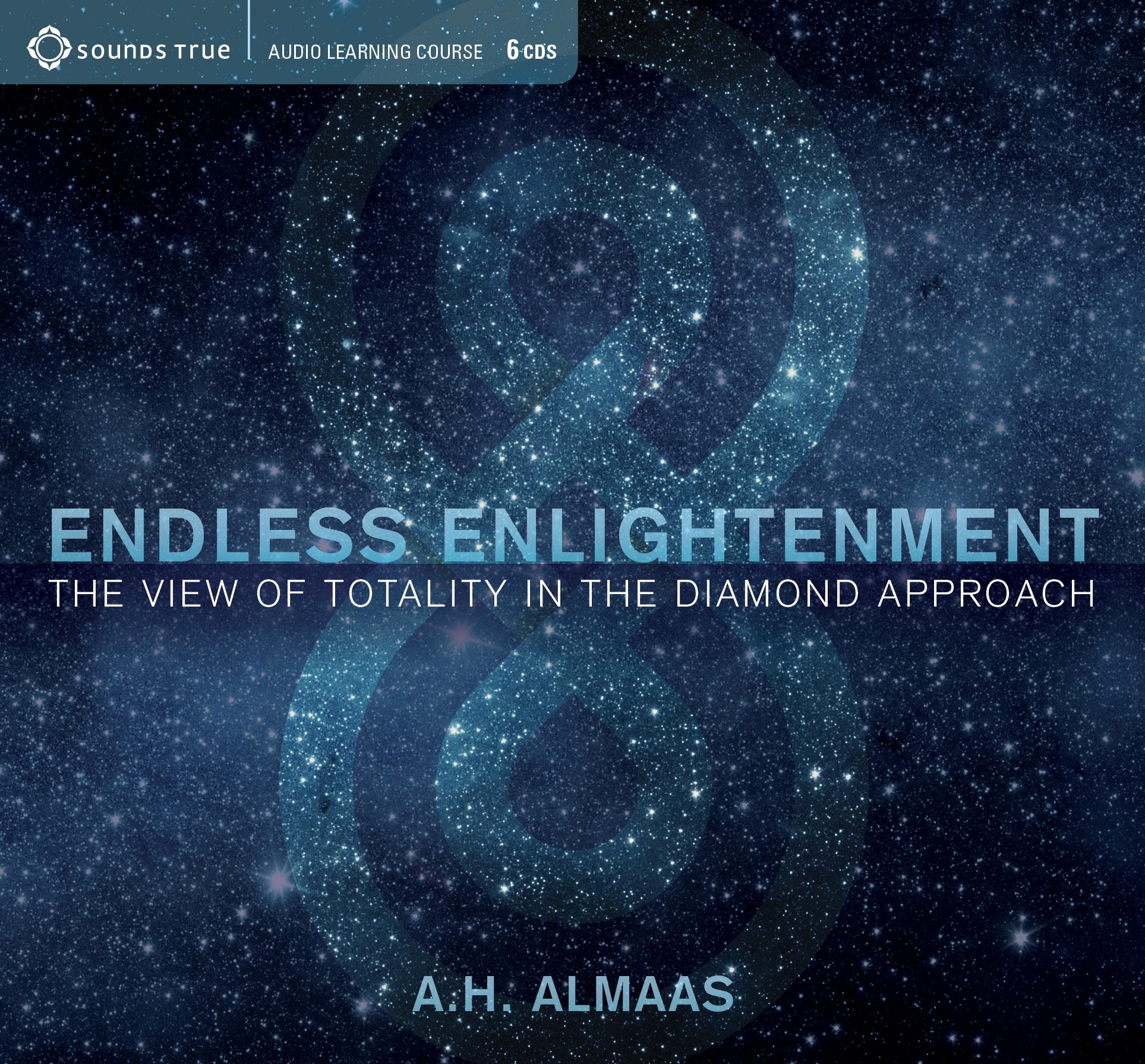 Vorderes Coverbild Endless Enlightenment: The View of Totality in the Diamond Approach
