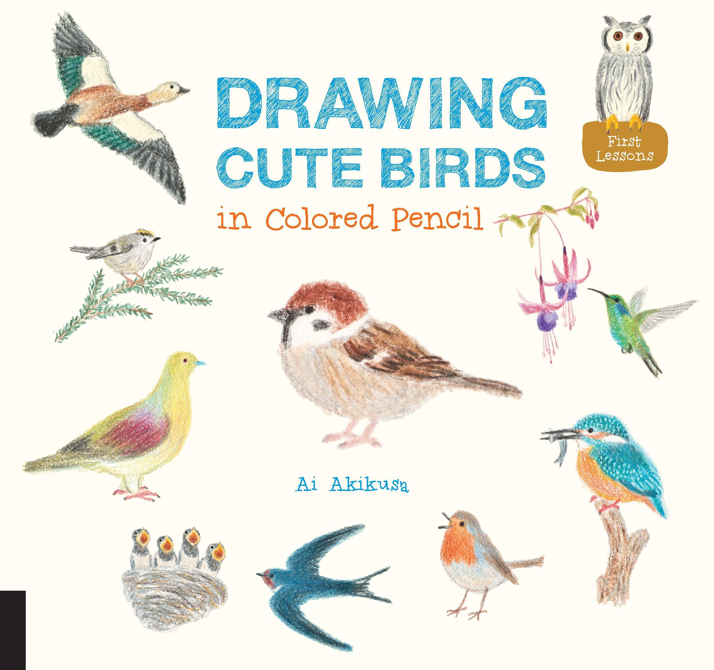 Vorderes Coverbild Drawing Cute Birds in Colored Pencil