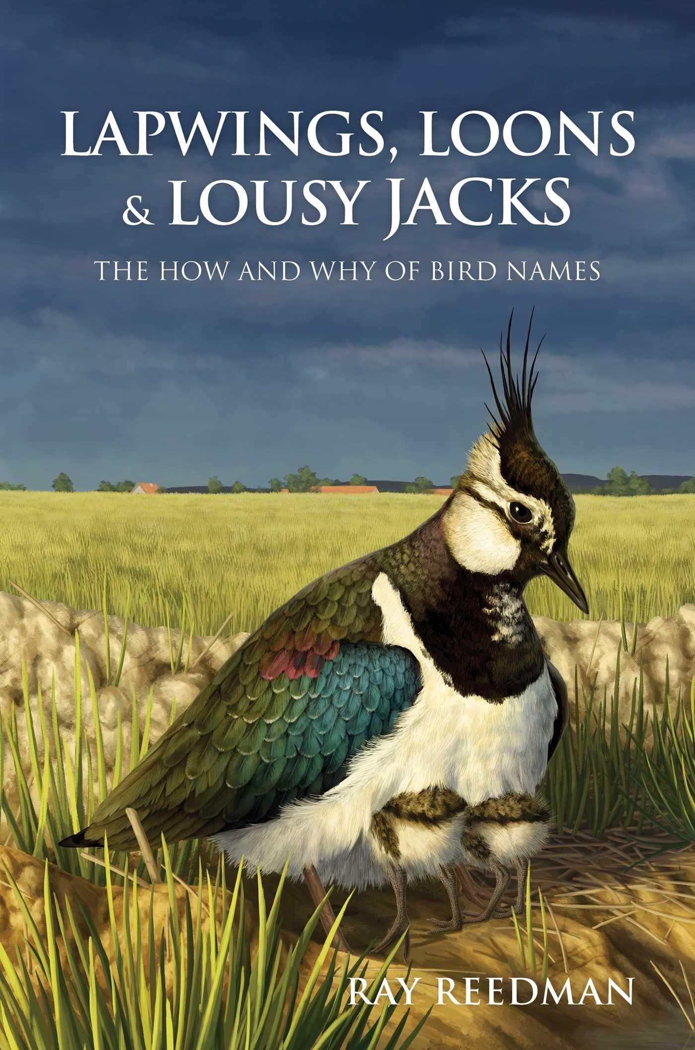 Vorderes Coverbild Lapwings, Loons and Lousy Jacks