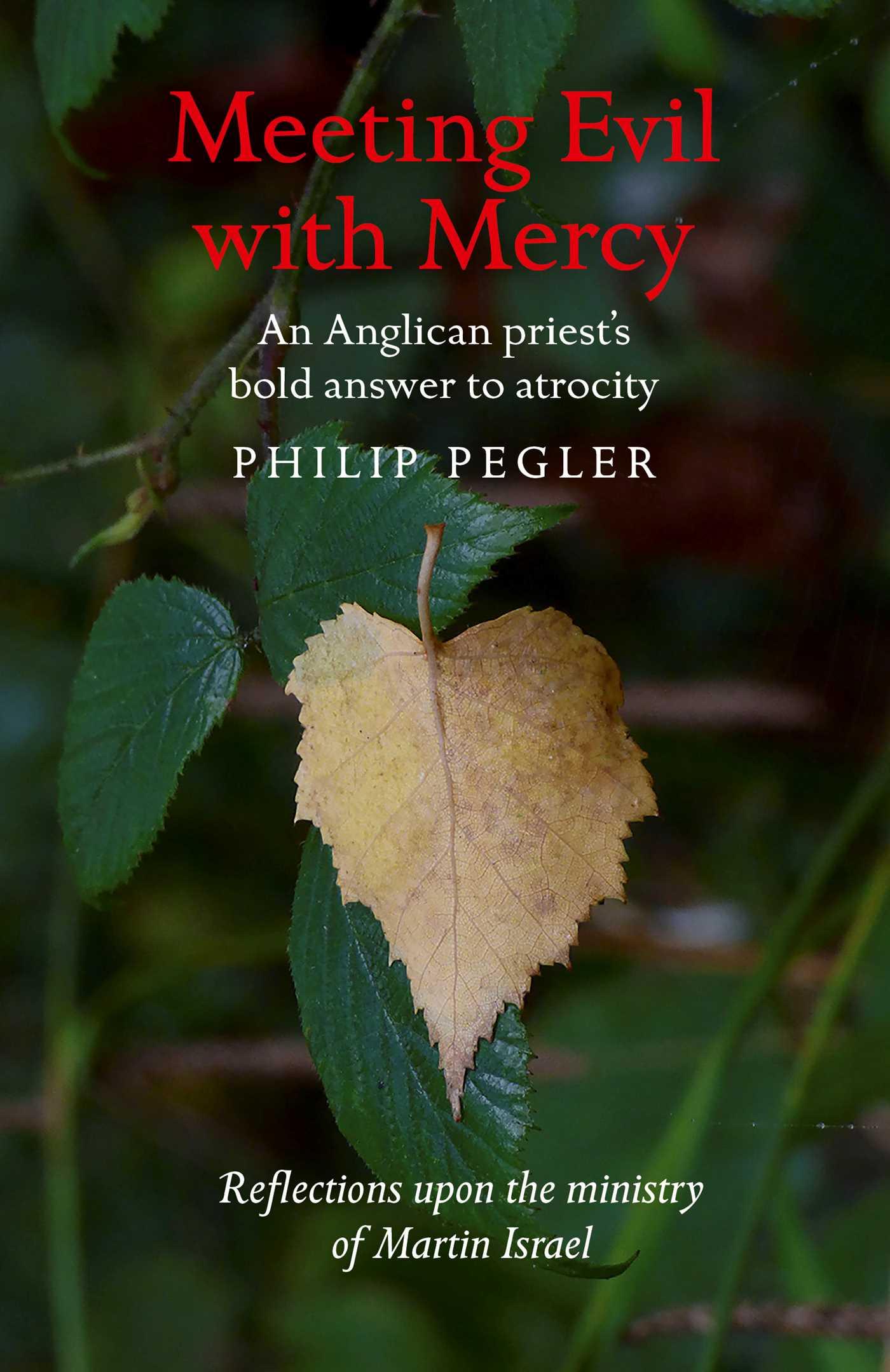 Vorderes Coverbild Meeting Evil with Mercy