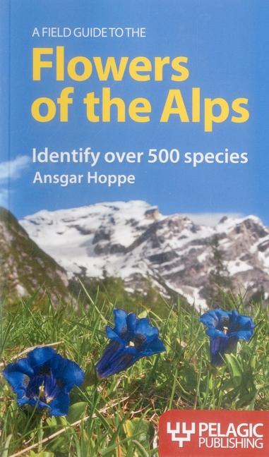 Vorderes Coverbild A Field Guide to the Flowers of the Alps