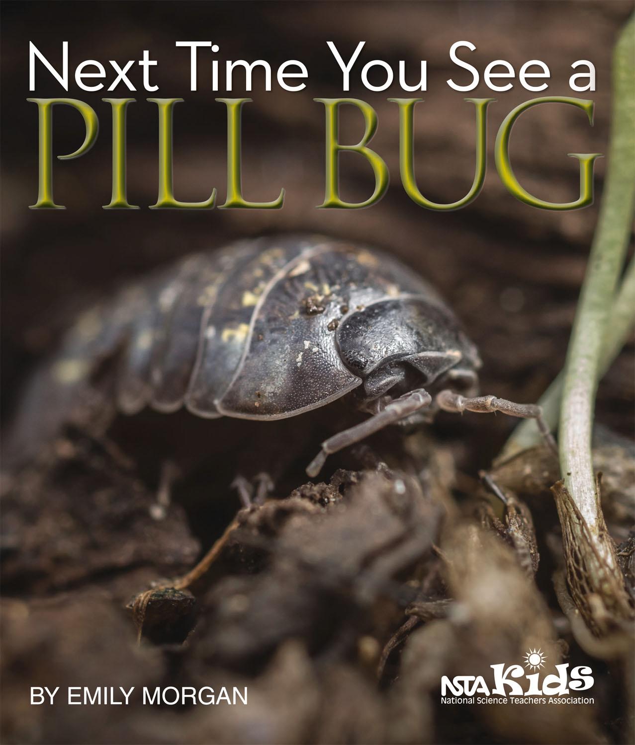 Vorderes Coverbild Next Time You See a Pill Bug