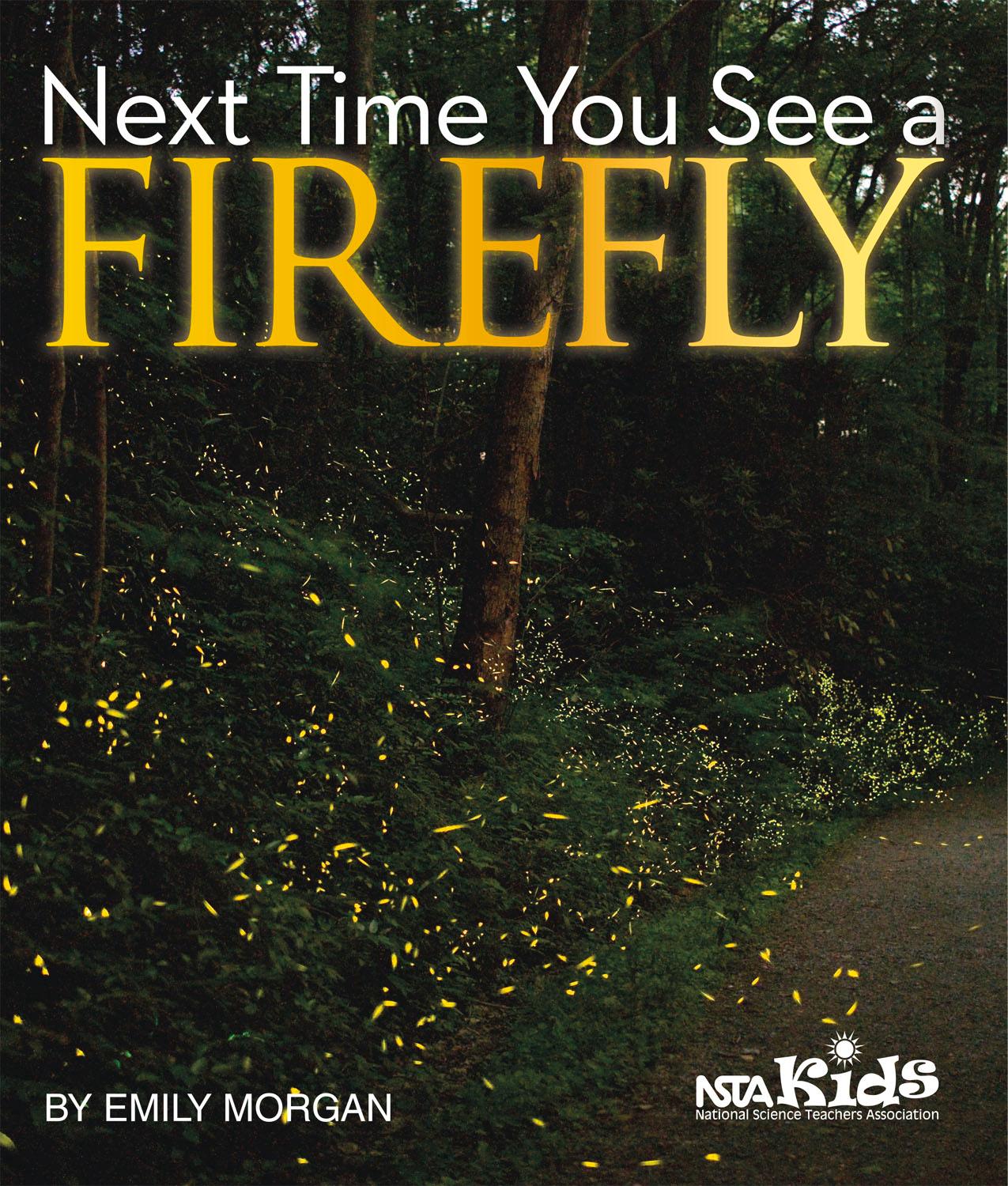Vorderes Coverbild Next Time You See a Firefly