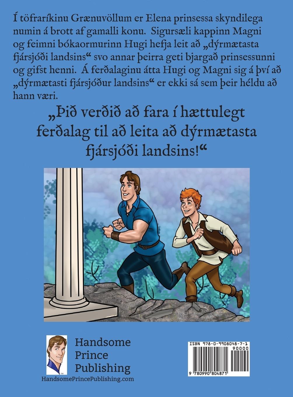 Rückseitencover Prinsarnir og fjársjóðurinn