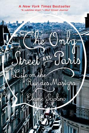 Vorderes Coverbild The Only Street in Paris