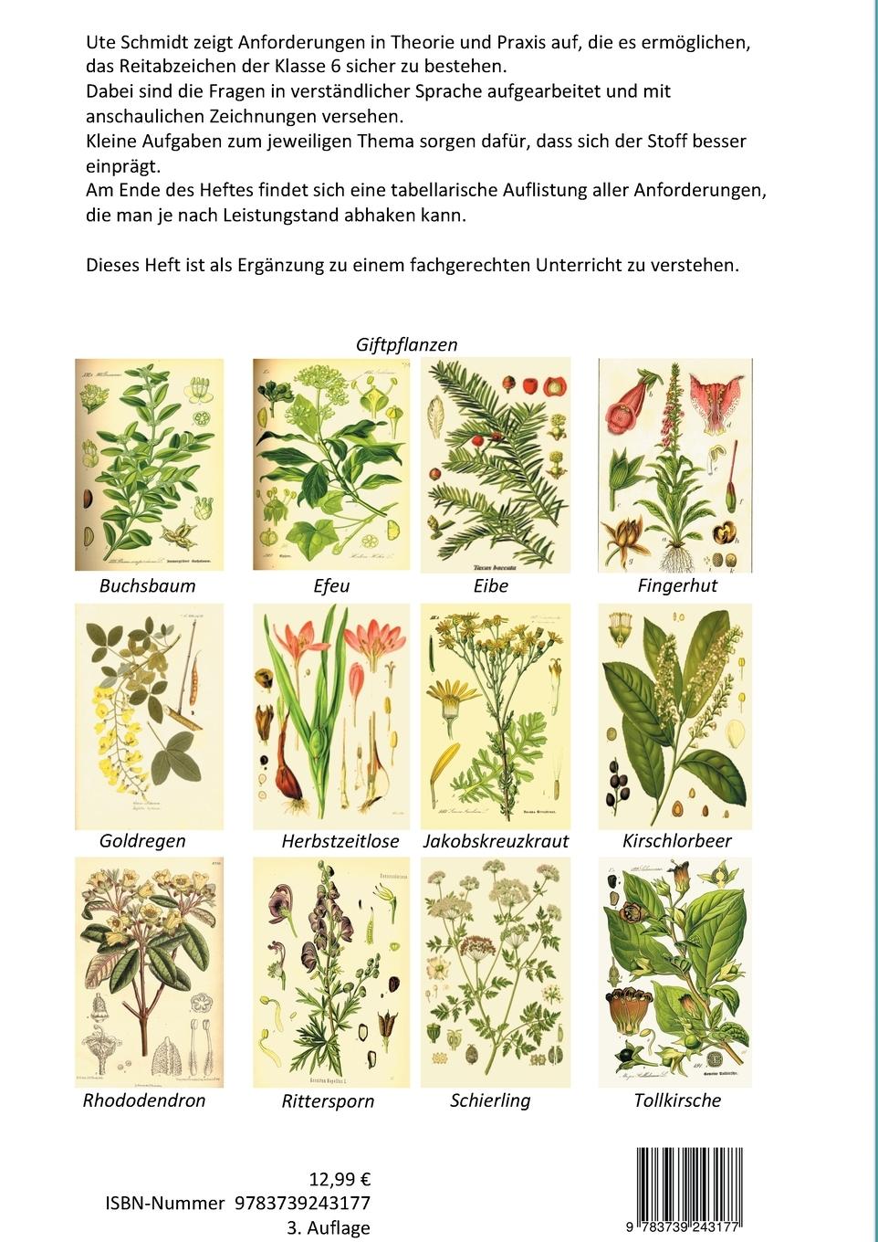 Rückseitencover Reitabzeichen 6