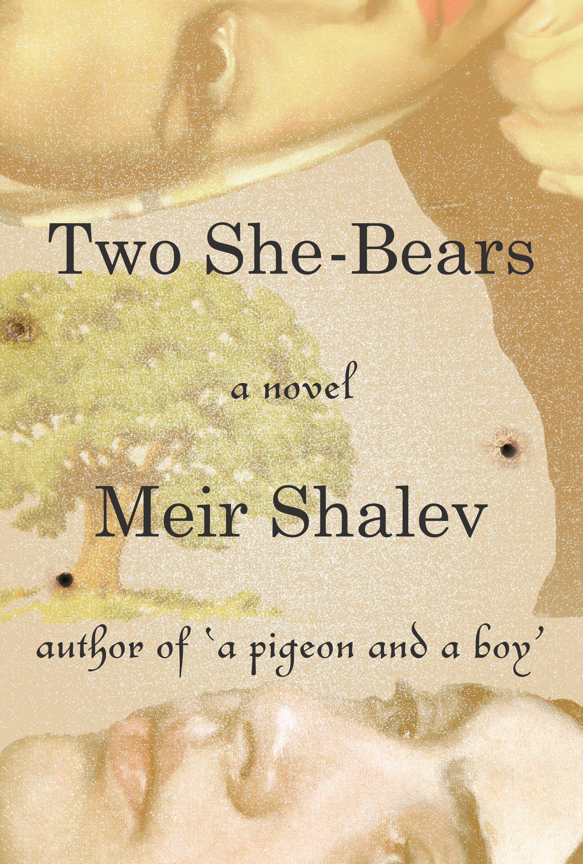 Vorderes Coverbild Two She-Bears