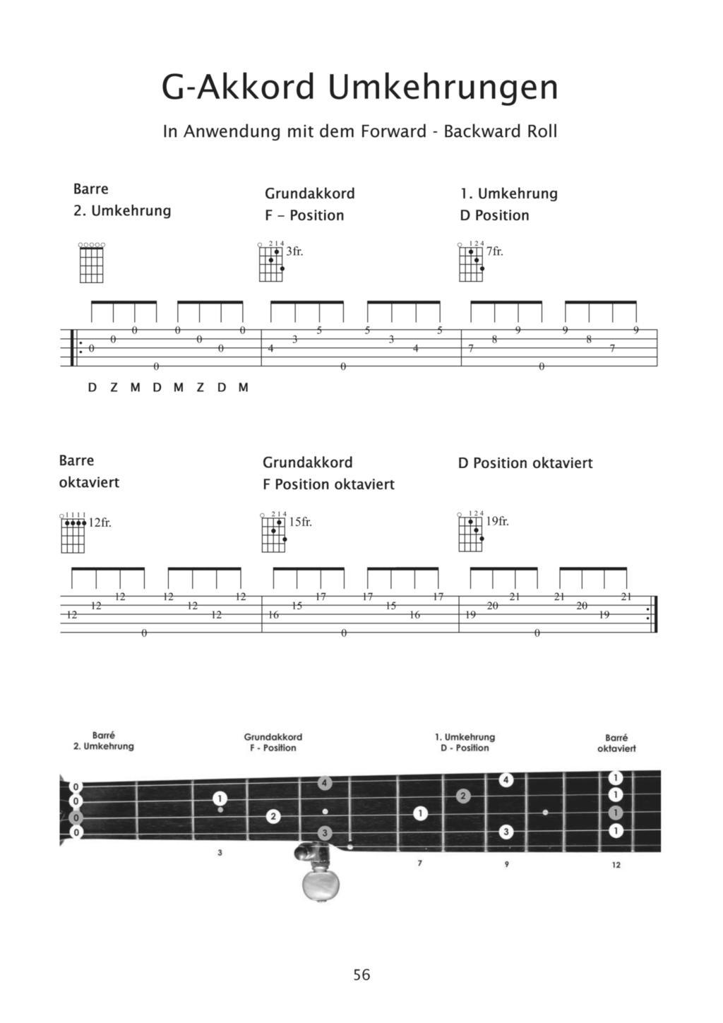 Beispielinhalt (Bild) Pro 5-String Banjo