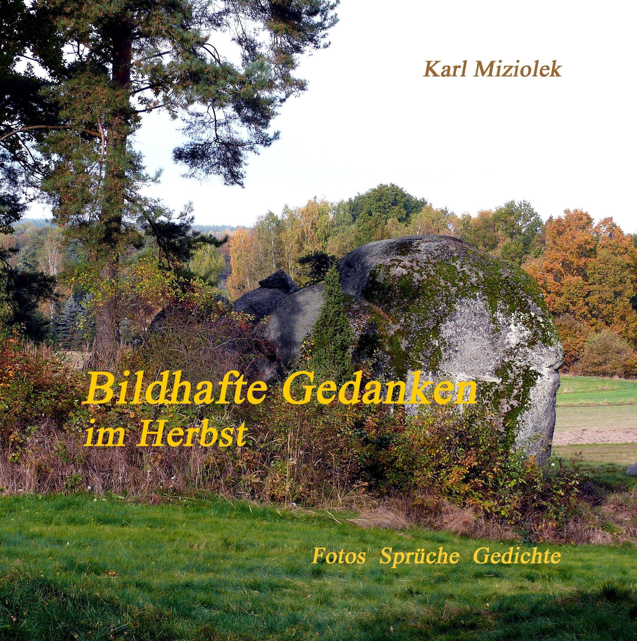 Vorderes Coverbild Bildhafte Gedanken
