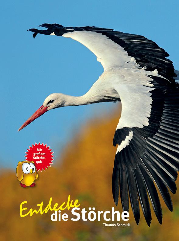 Vorderes Coverbild Entdecke die Störche