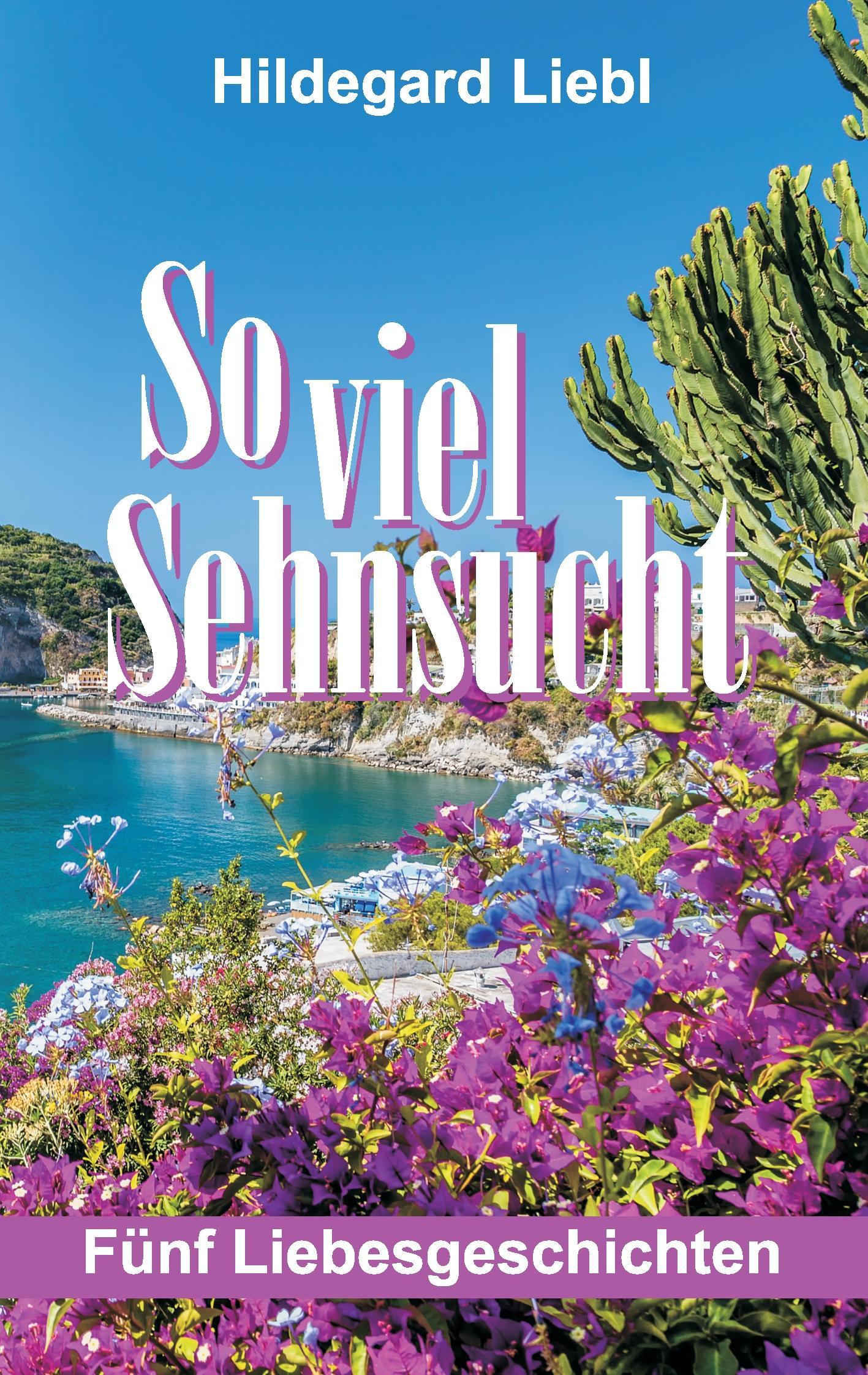 Vorderes Coverbild So viel Sehnsucht