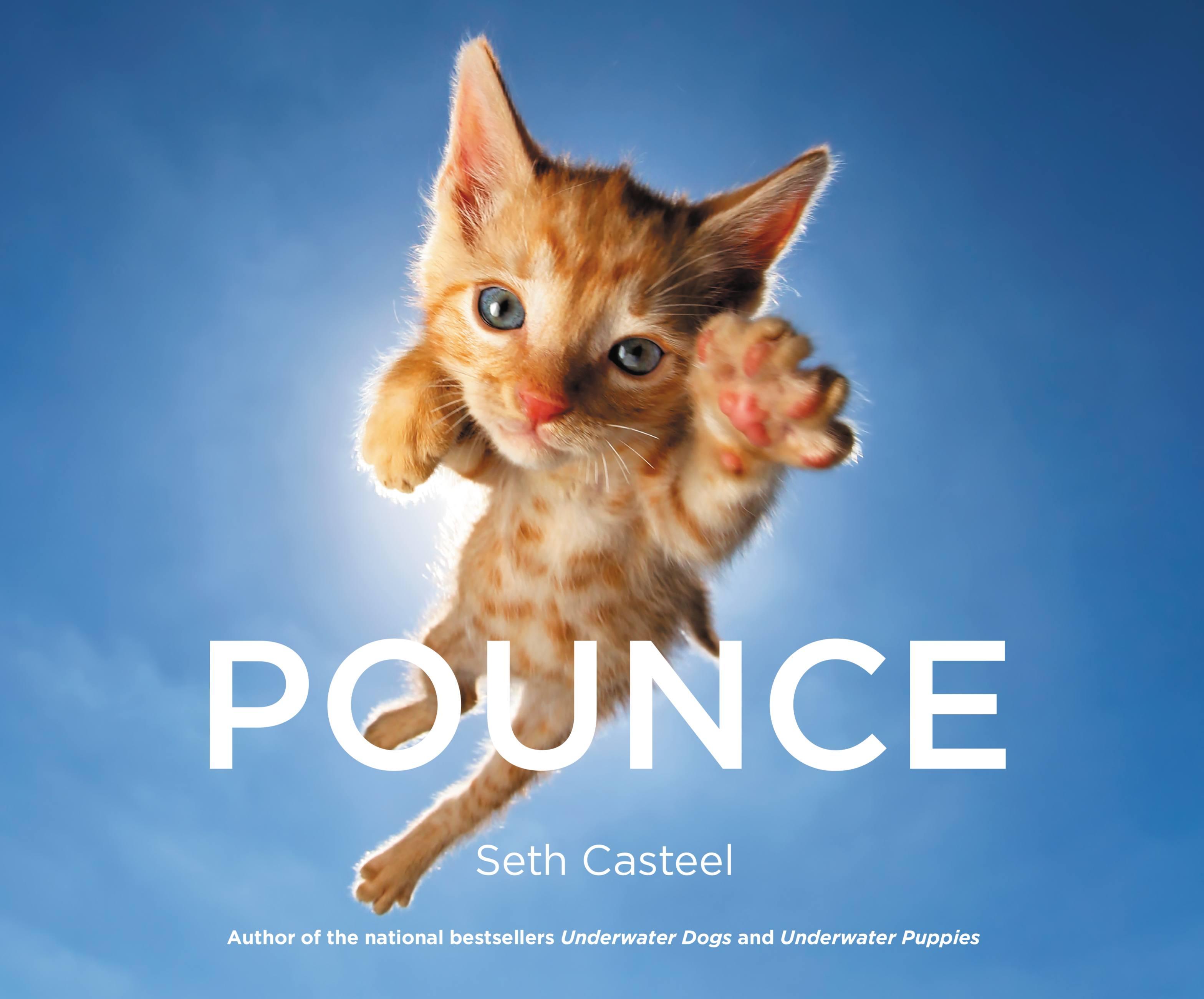 Vorderes Coverbild Pounce
