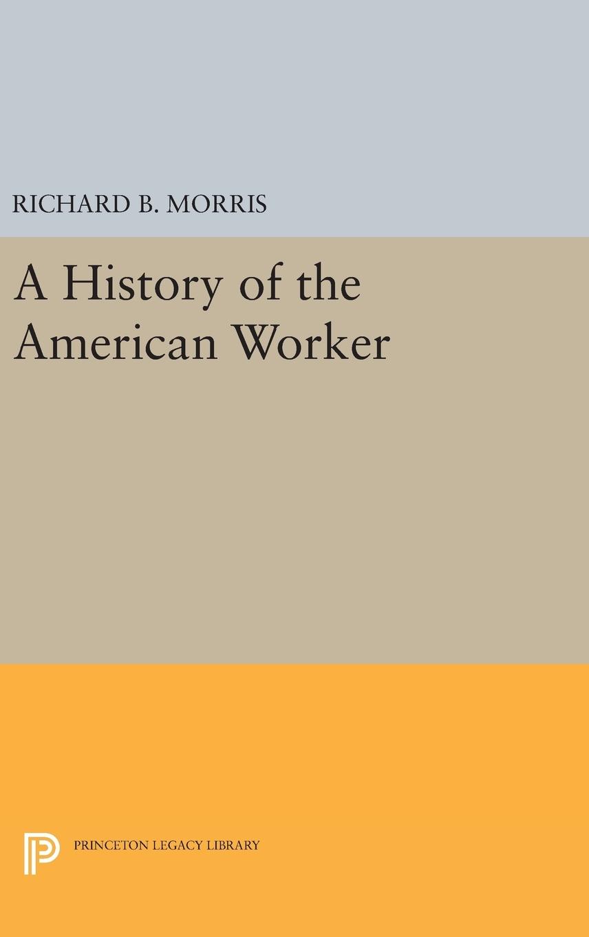 Vorderes Coverbild A History of the American Worker