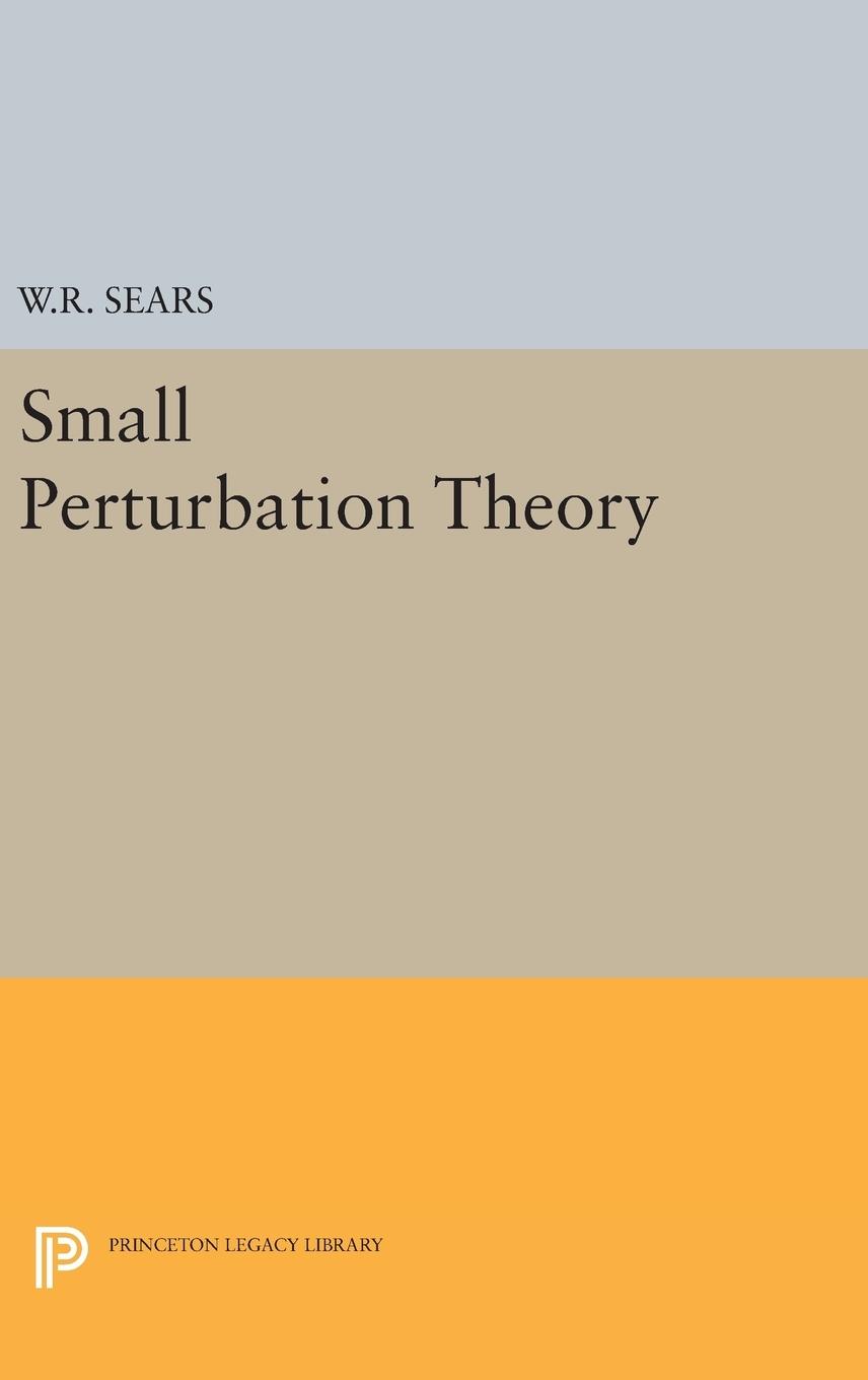 Vorderes Coverbild Small Perturbation Theory