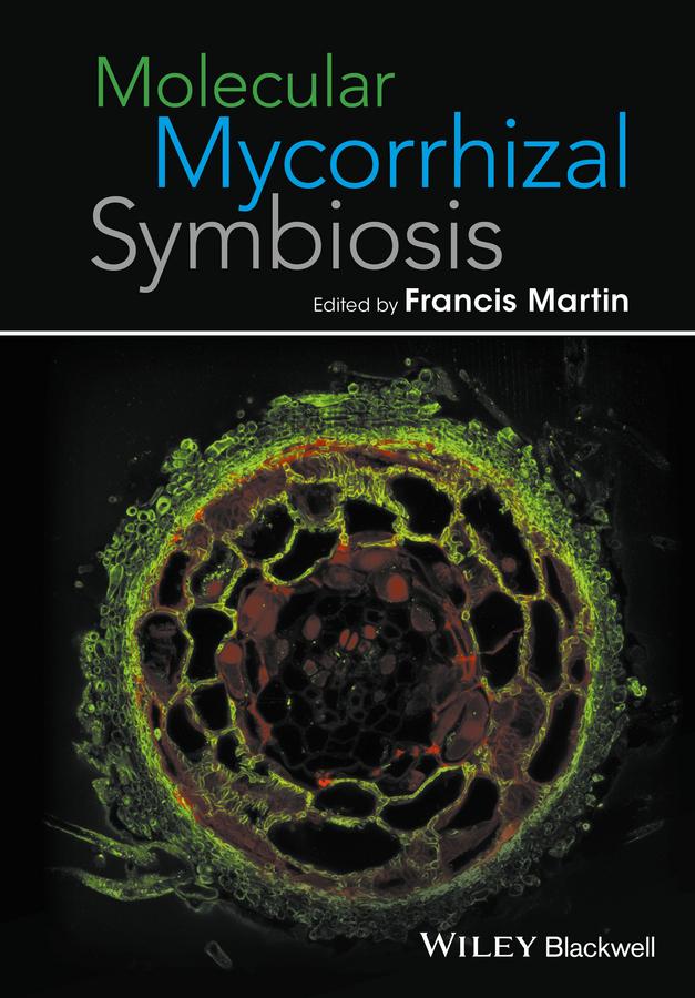 Vorderes Coverbild Molecular Mycorrhizal Symbiosis