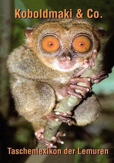 Vorderes Coverbild Koboldmaki & Co.