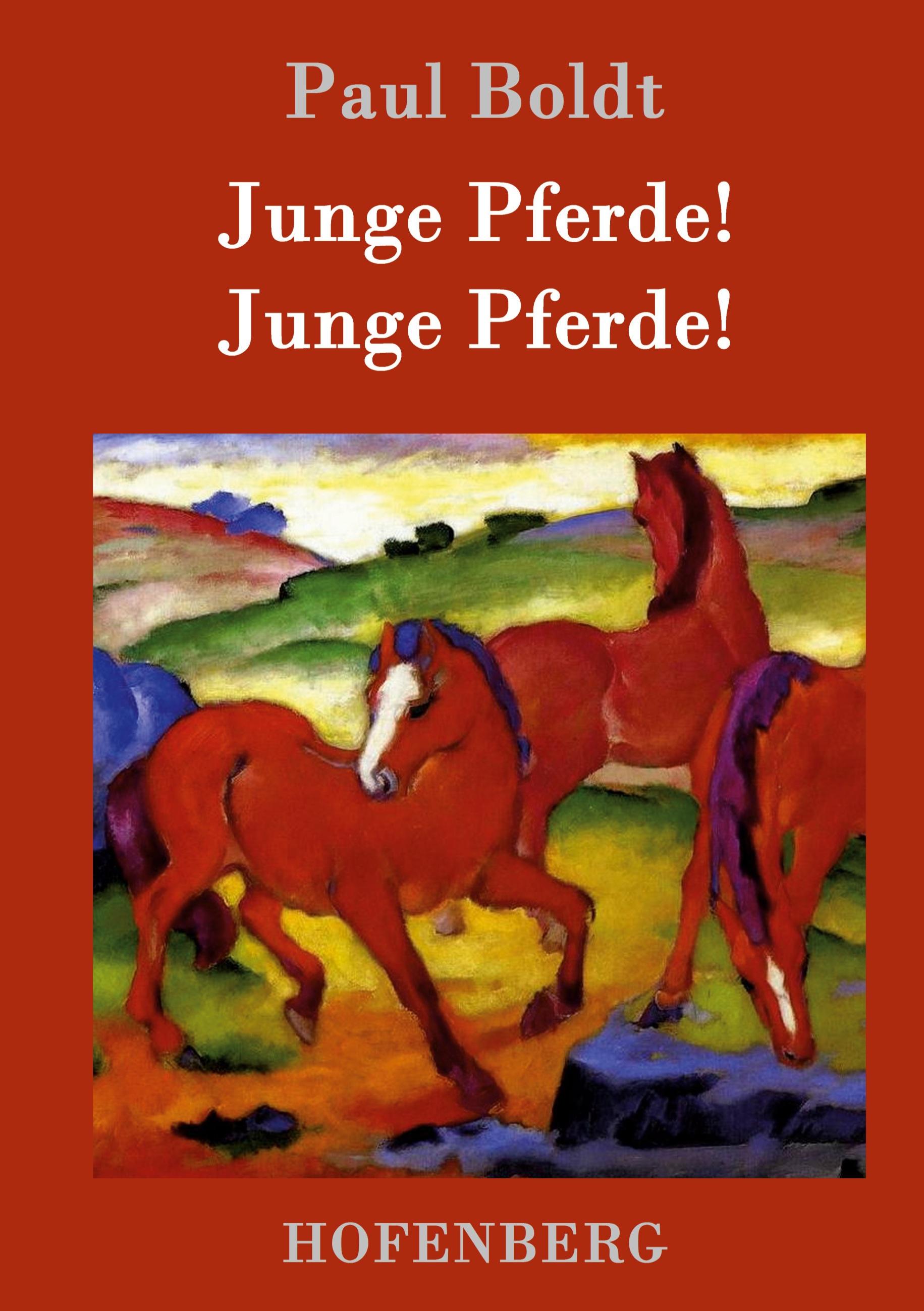 Vorderes Coverbild Junge Pferde! Junge Pferde!