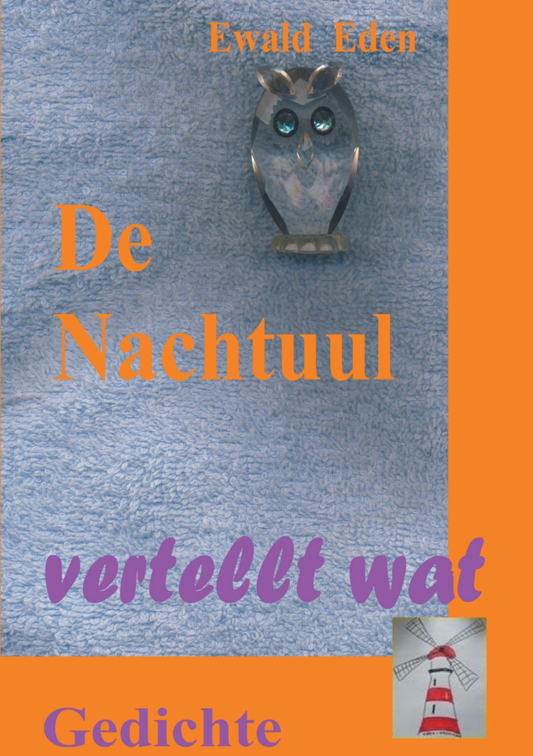 Vorderes Coverbild De Nachtuul