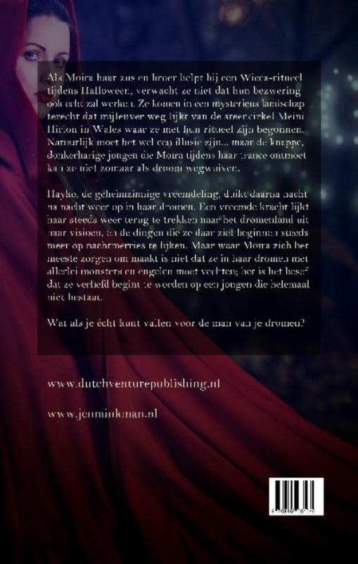 Rückseitencover Het laatste licht