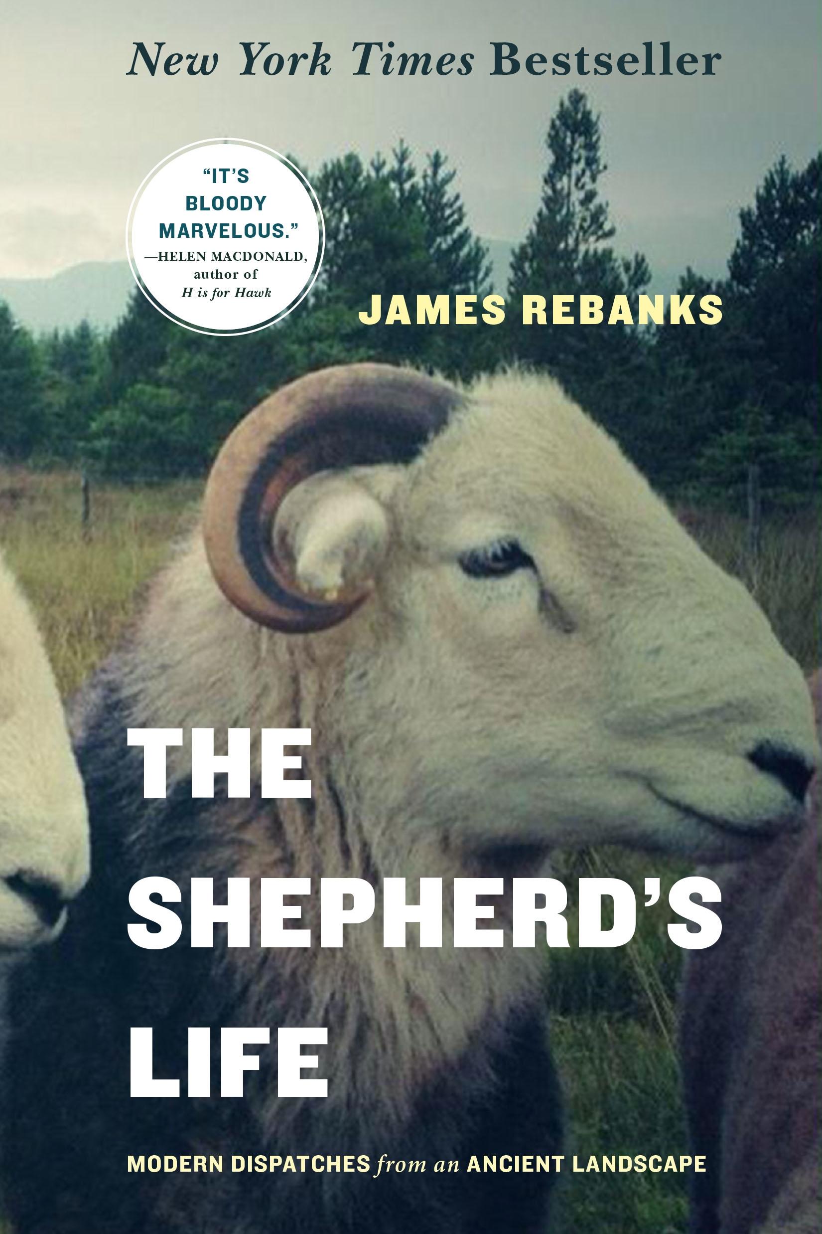 Vorderes Coverbild The Shepherd's Life