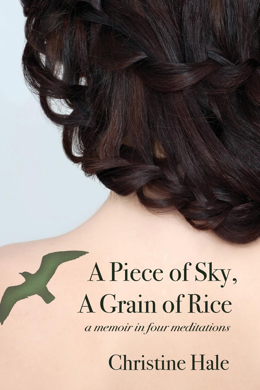 Vorderes Coverbild A Piece of Sky, A Grain of Rice