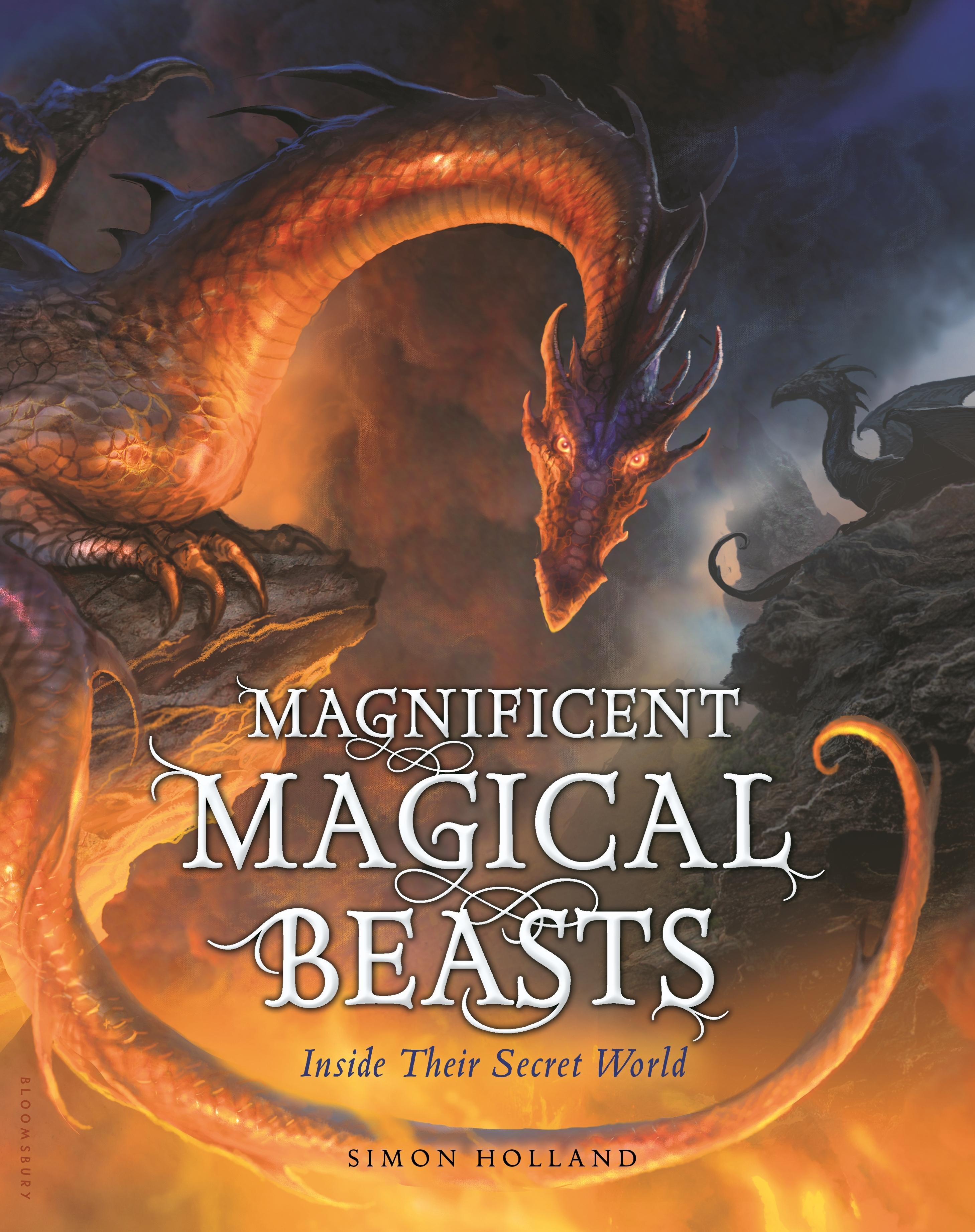 Vorderes Coverbild Magnificent Magical Beasts