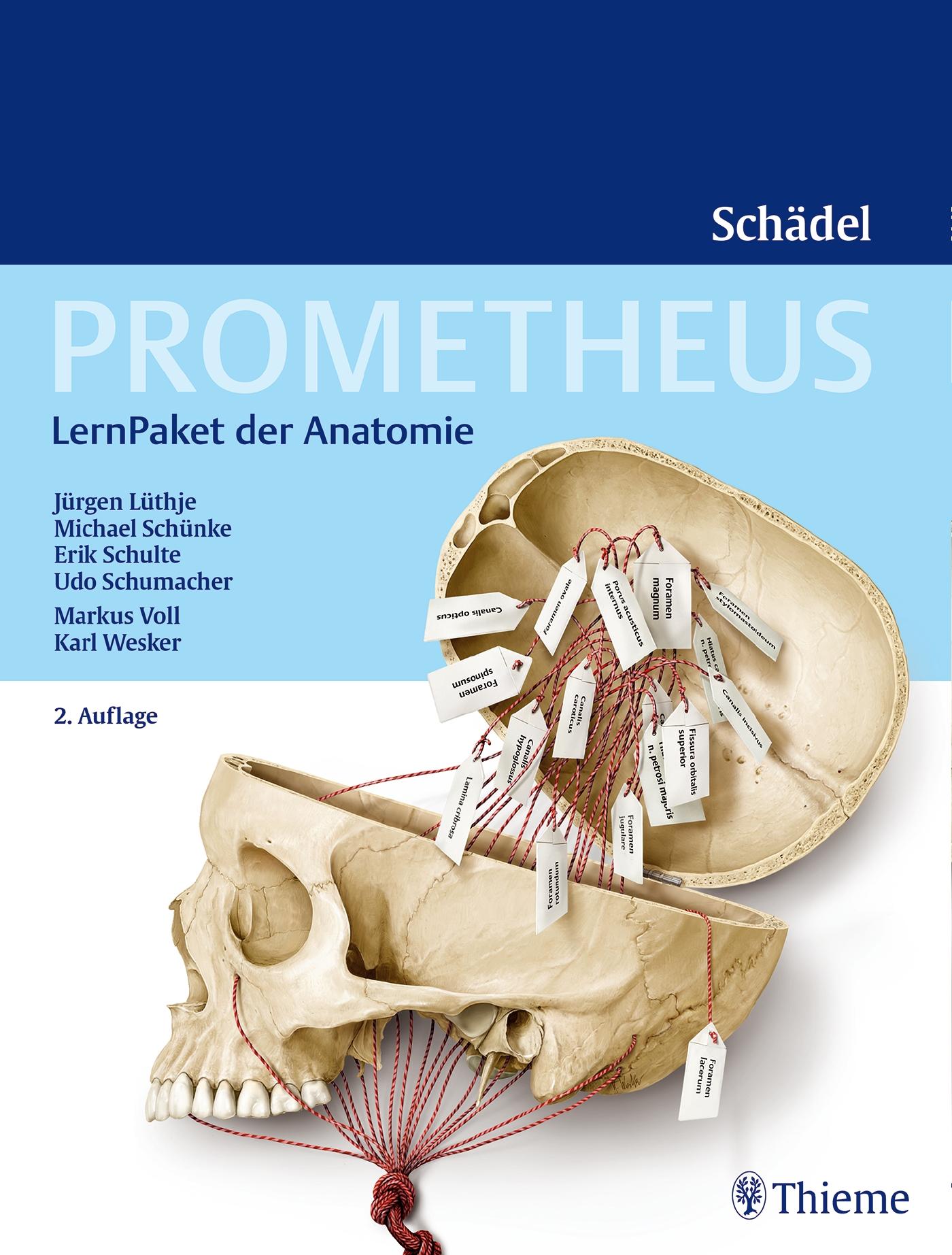 Vorderes Coverbild PROMETHEUS LernPaket Anatomie Schädel