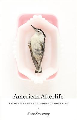 Vorderes Coverbild American Afterlife