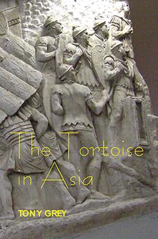 Vorderes Coverbild The Tortoise in Asia