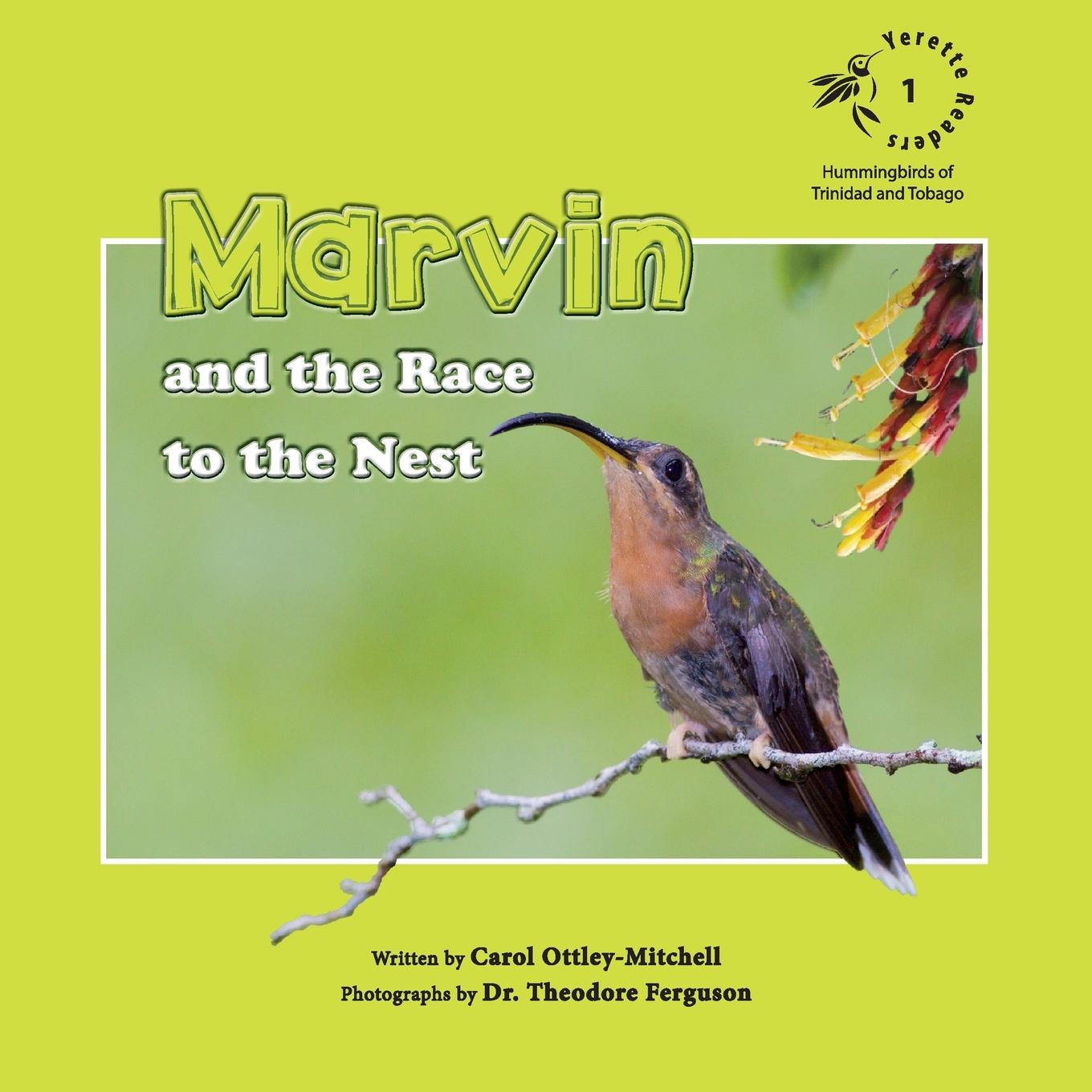 Vorderes Coverbild Marvin and the Race to the Nest
