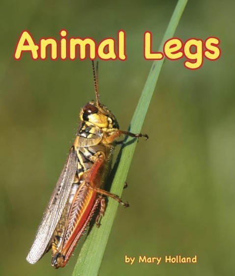 Vorderes Coverbild Animal Legs