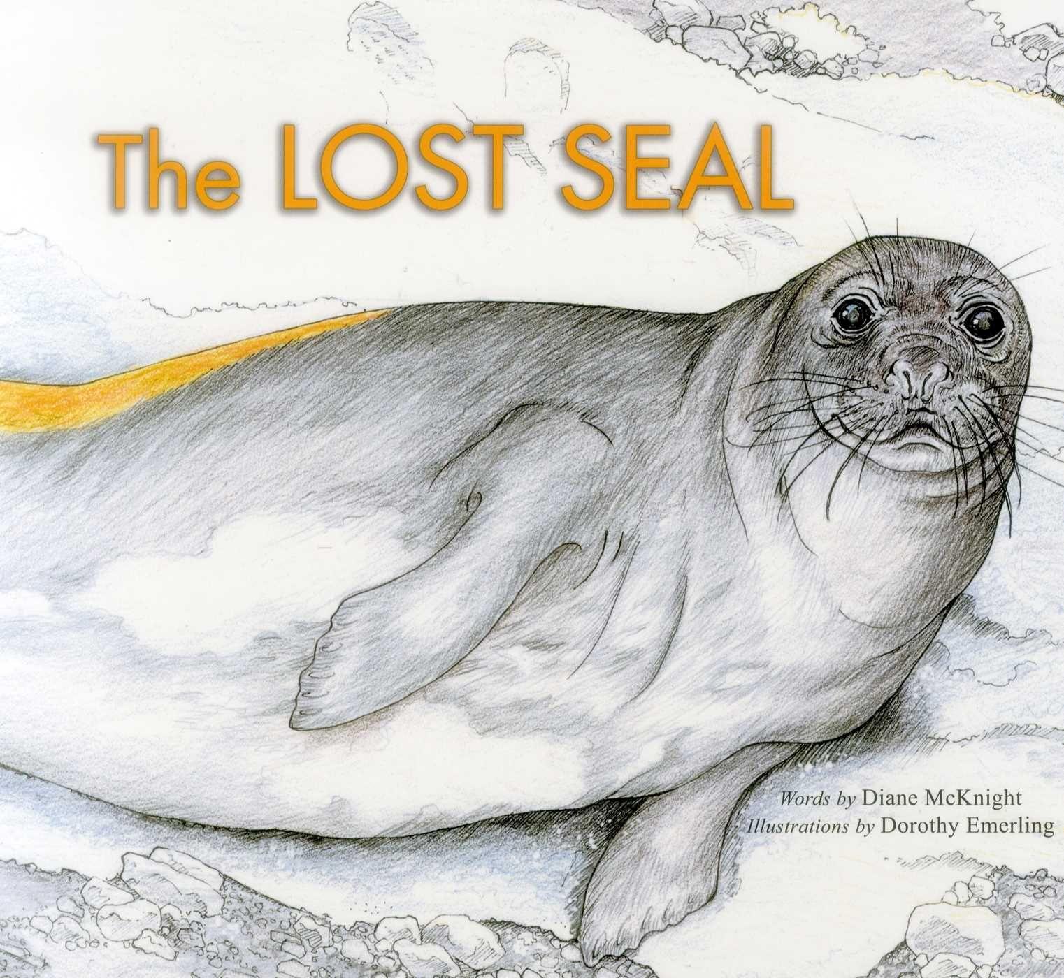 Vorderes Coverbild Lost Seal