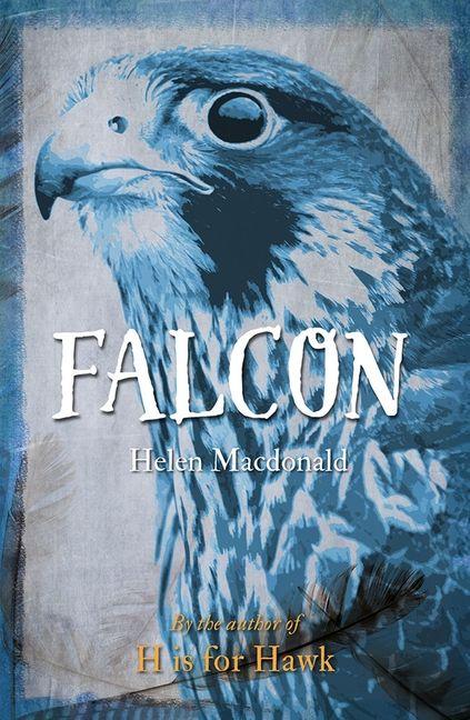 Vorderes Coverbild Falcon