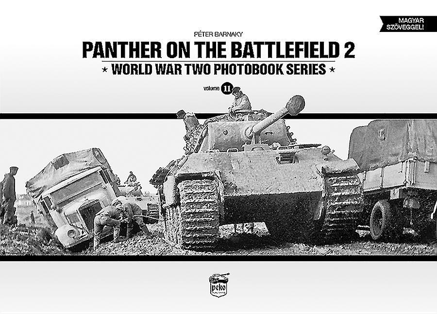 Vorderes Coverbild Panther on the Battlefield