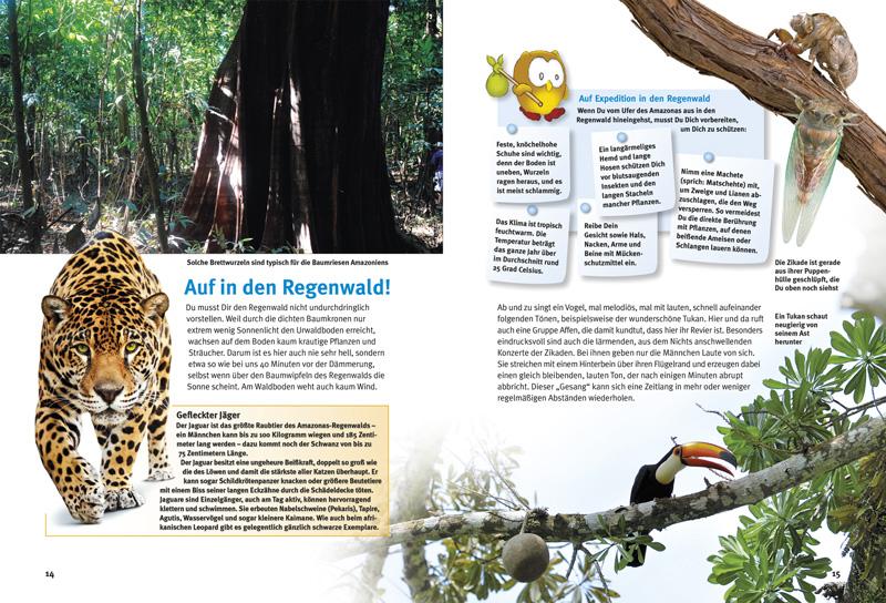 Beispielinhalt (Bild) Entdecke den Amazonas-Regenwald
