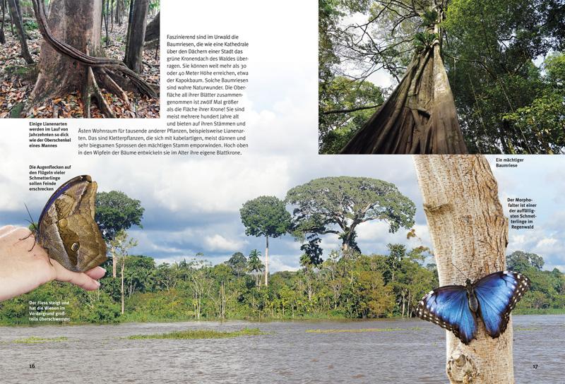 Beispielinhalt (Bild) Entdecke den Amazonas-Regenwald