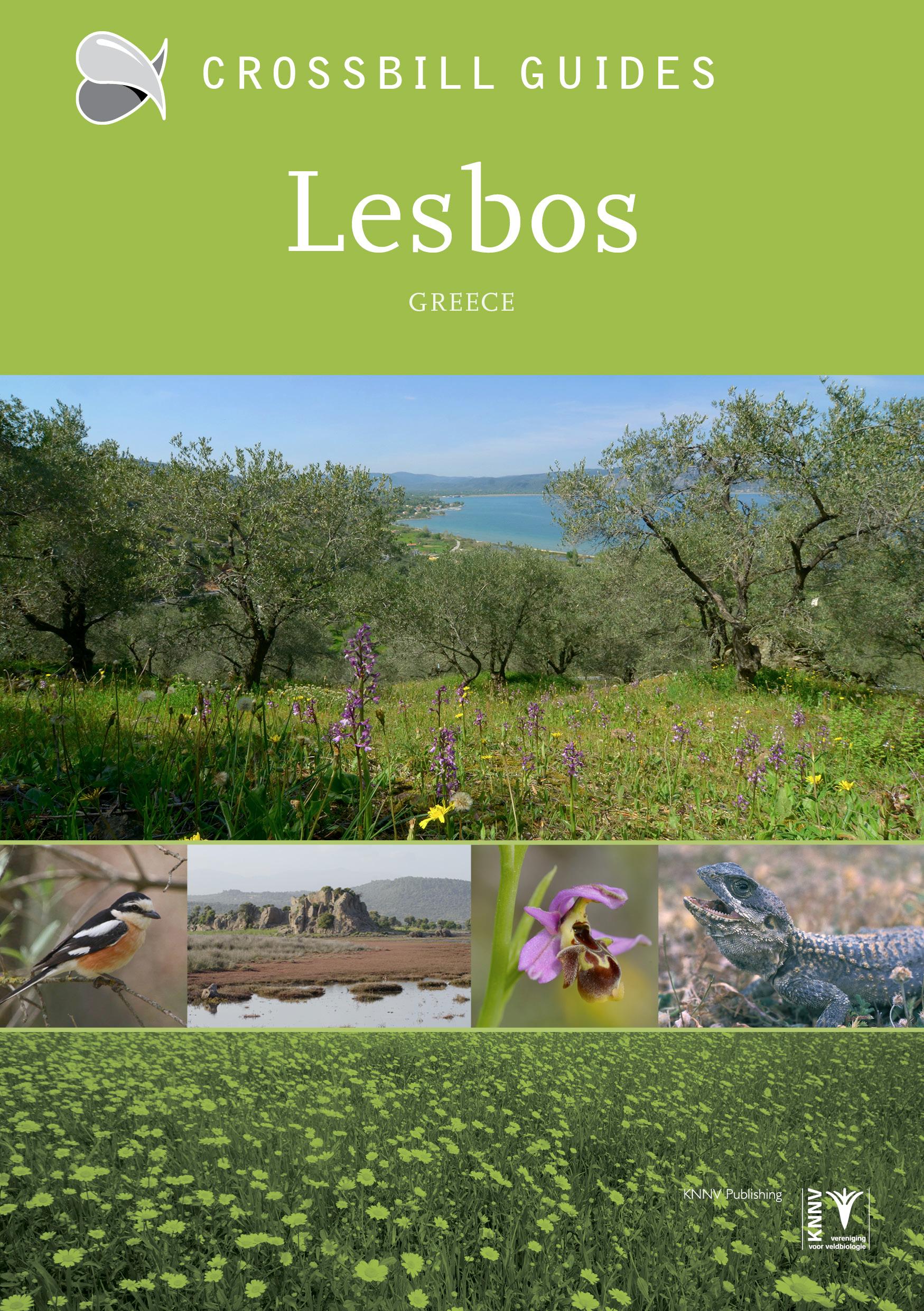 Vorderes Coverbild Lesbos