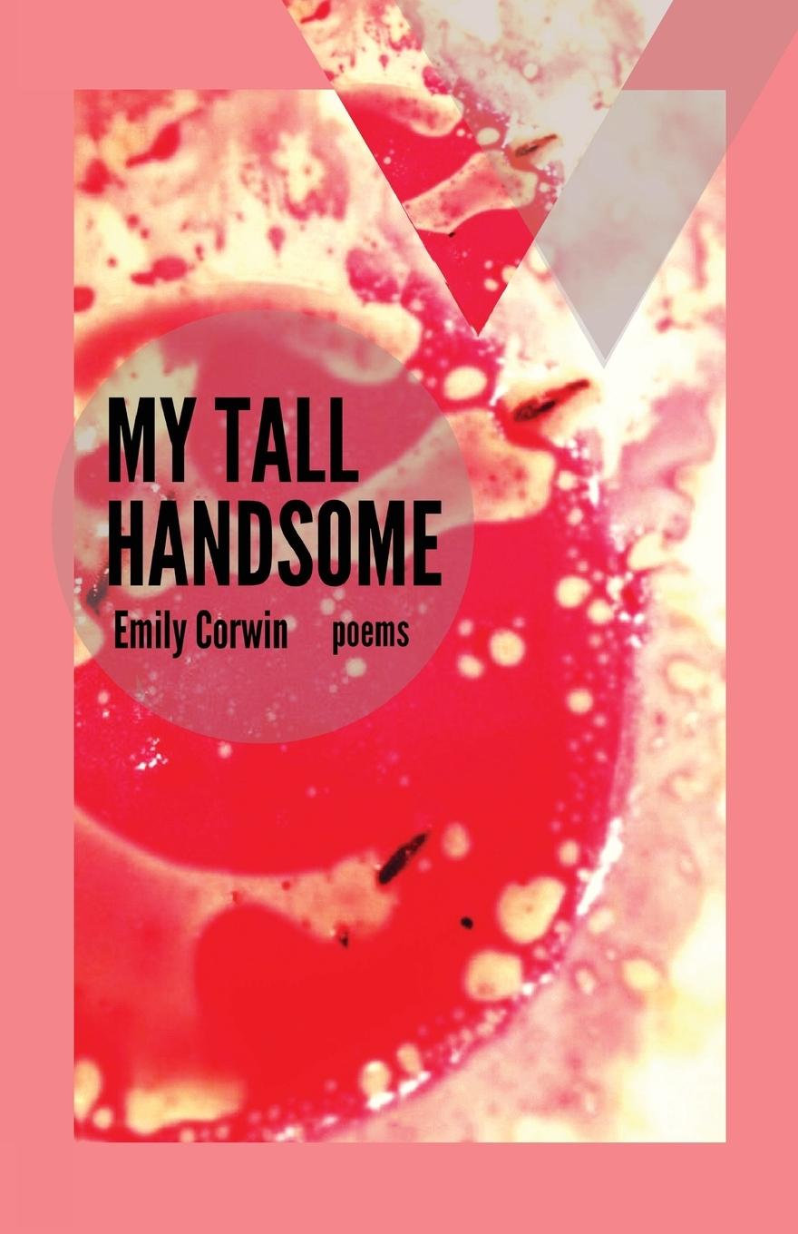 Vorderes Coverbild My Tall Handsome