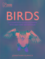 Vorderes Coverbild Birds