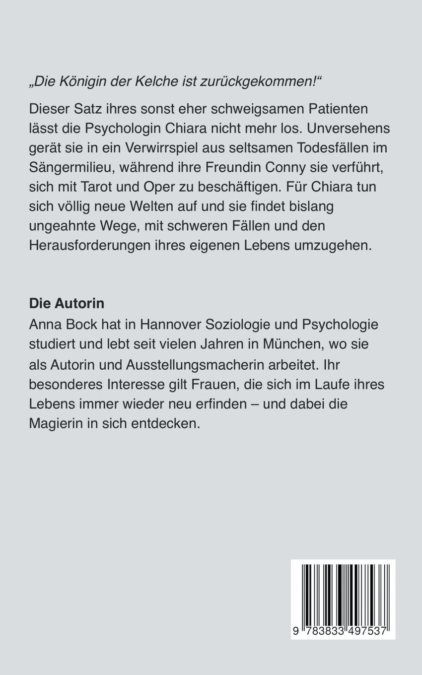 Rückseitencover Die Entdeckung der Magierin
