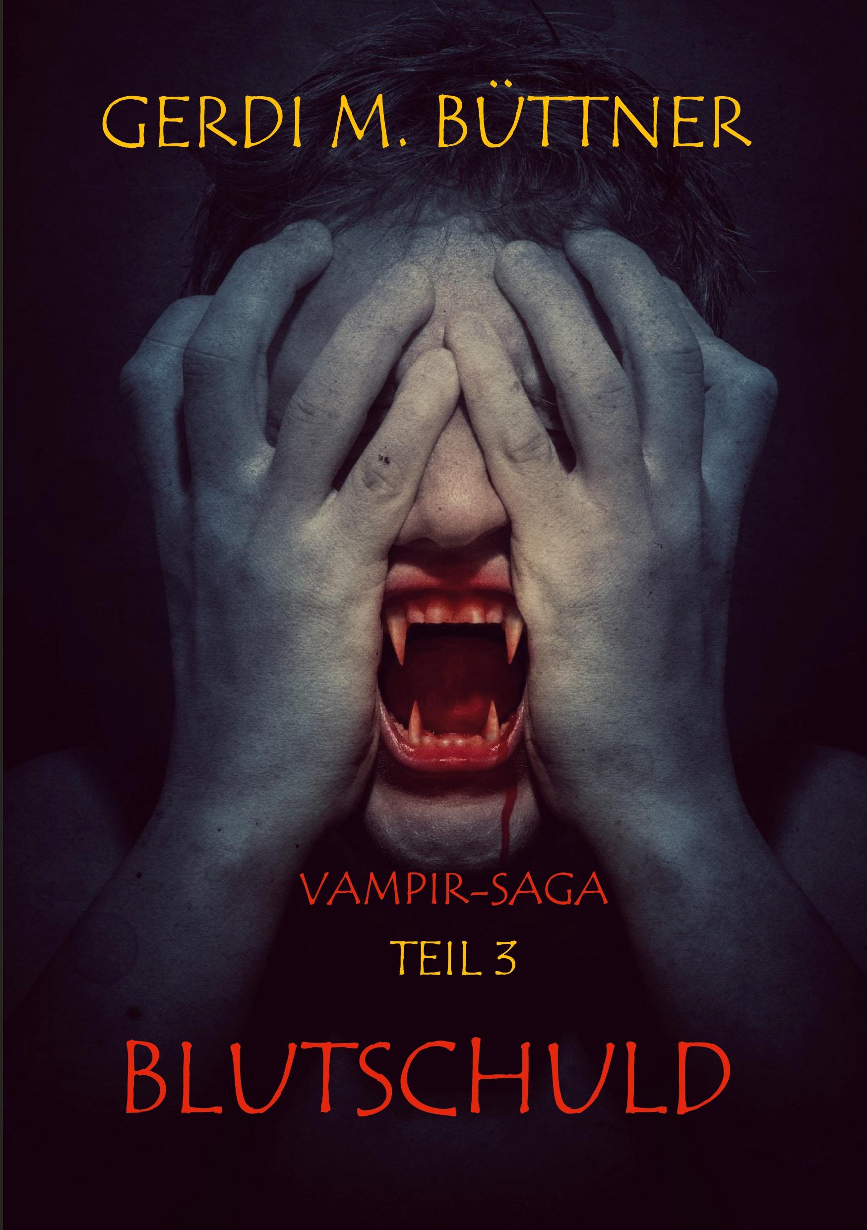 Vorderes Coverbild Blutschuld