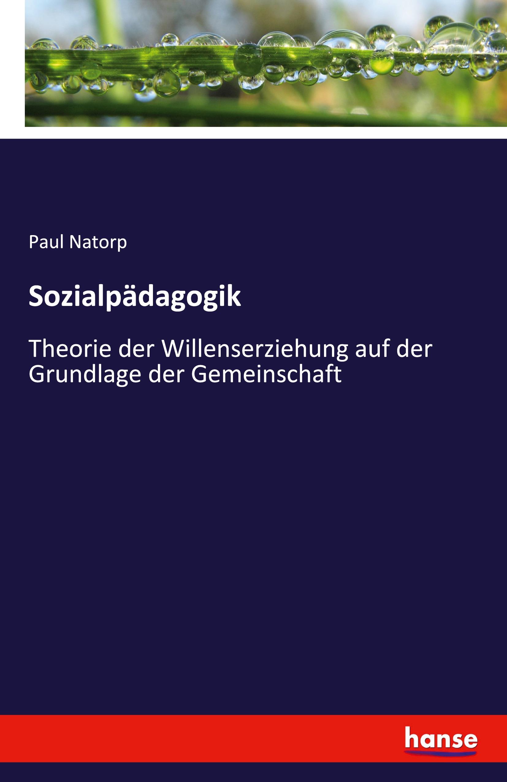 Vorderes Coverbild Sozialpädagogik