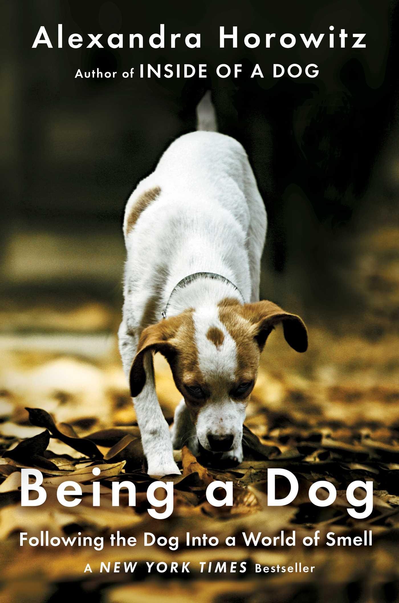 Vorderes Coverbild Being a Dog