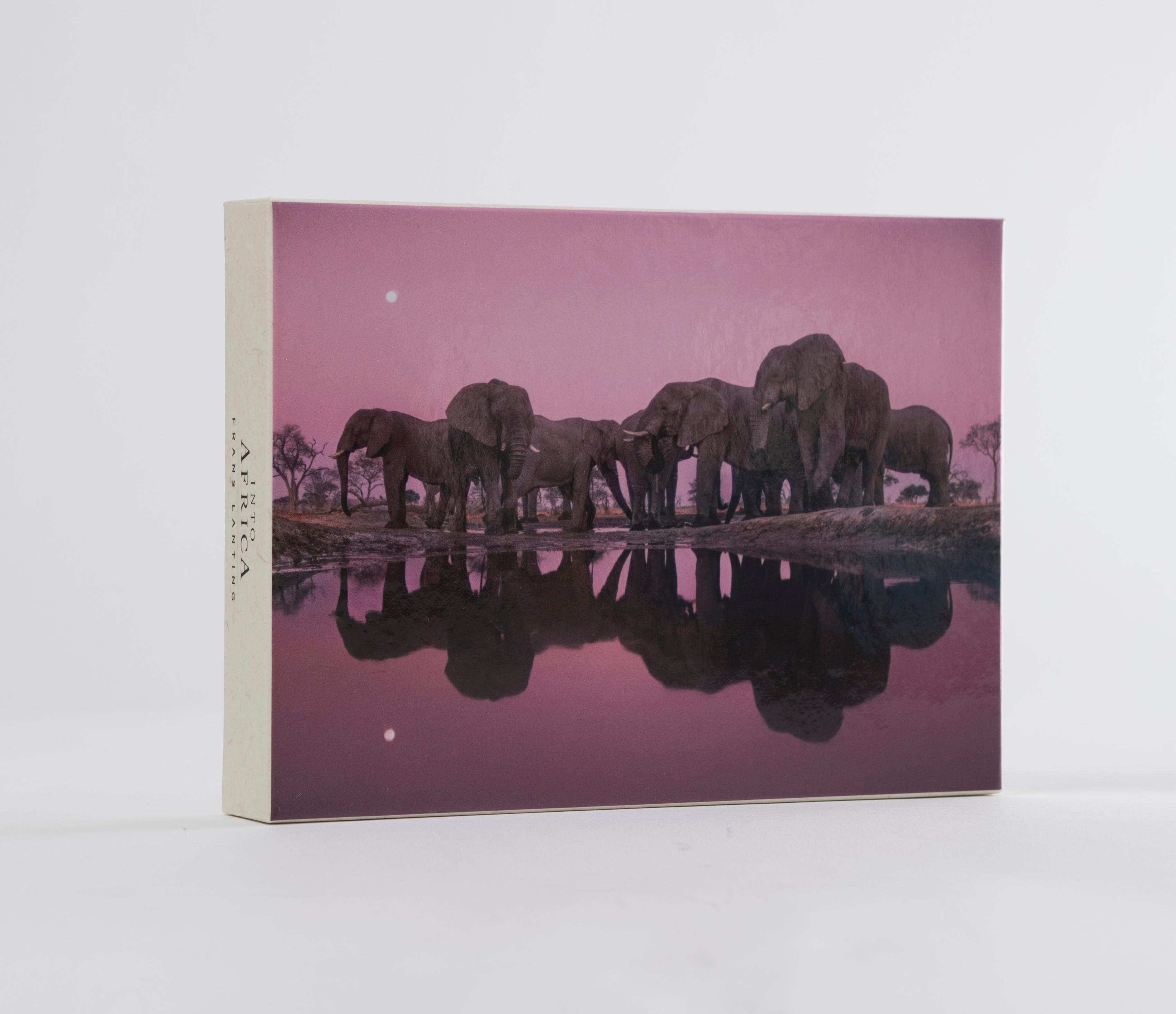 Vorderes Coverbild Into Africa: Blank Boxed Notecards