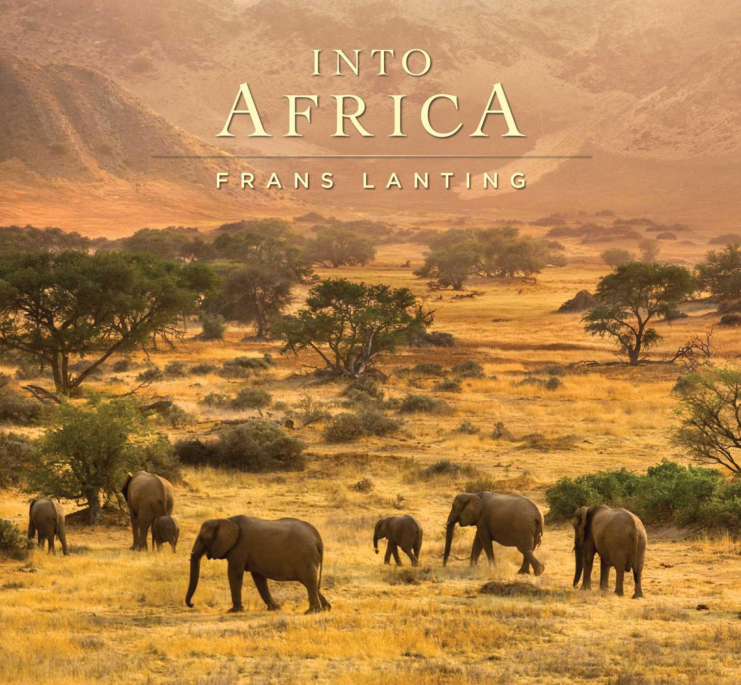 Vorderes Coverbild Into Africa