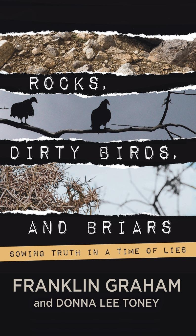 Vorderes Coverbild Rocks, Dirty Birds, and Briars