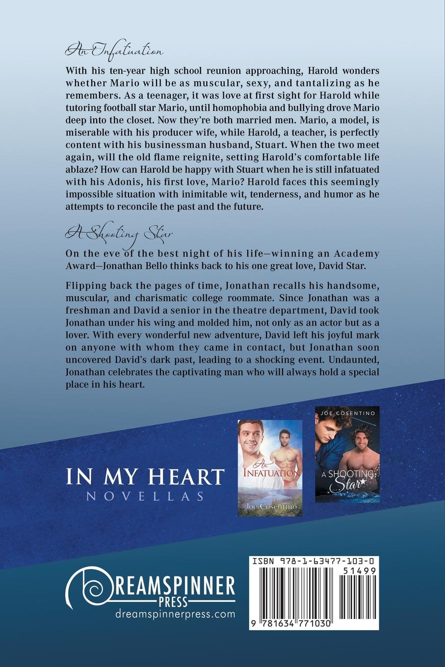 Rückseitencover In My Heart - An Infatuation & A Shooting Star